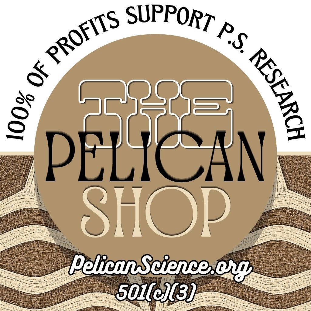 The Pelican Shop